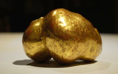 Popo, polimentvergoldeter Baumschwamm